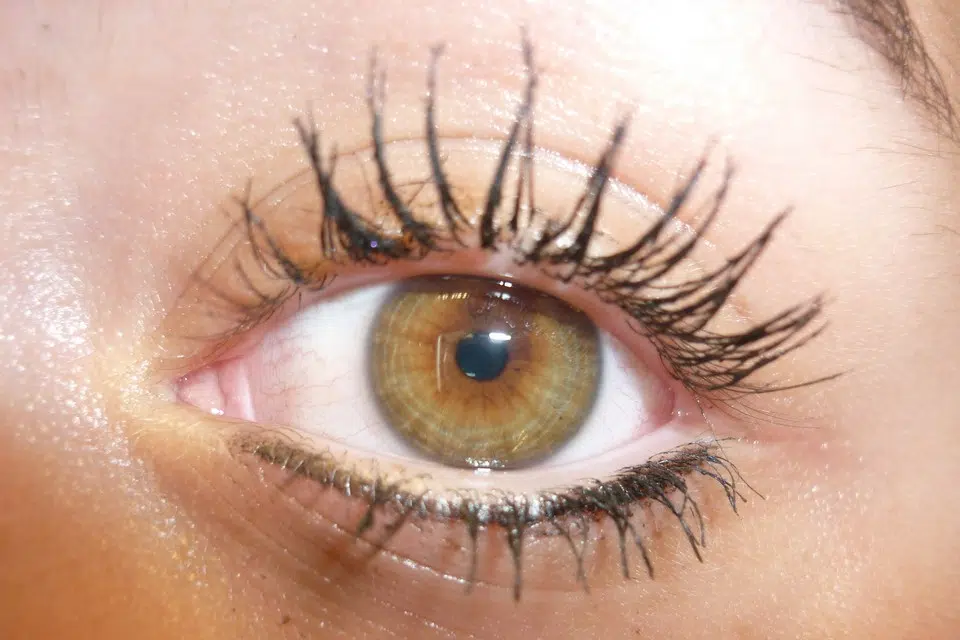 irisfoto