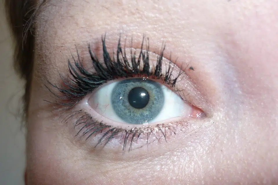 irisfoto0